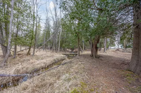 7355 10th, Remus, MI 49340 photo 27