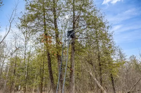 7355 10th, Remus, MI 49340 photo 24