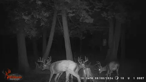7355 10th, Remus, MI 49340 photo 13