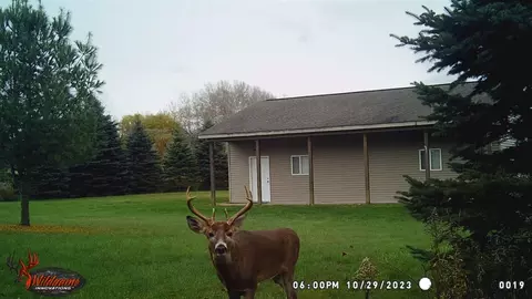 7355 10th, Remus, MI 49340 photo 3