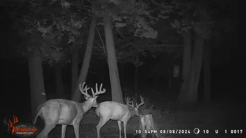 7355 10th, Remus, MI 49340 photo 14