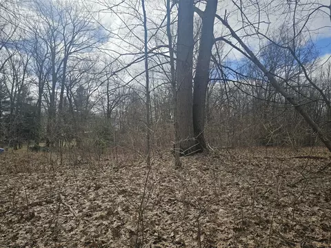 Vl W Lincoln, White Cloud, MI 49349 photo 7