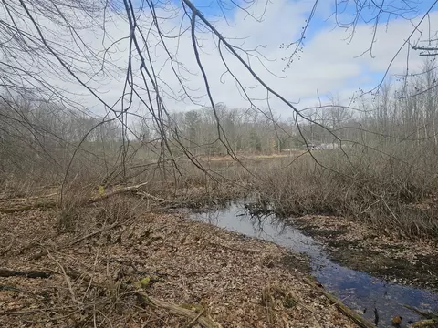 Vl W Lincoln, White Cloud, MI 49349