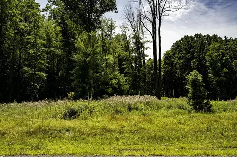 0 Youngren, Harbert, MI 49115 photo 12