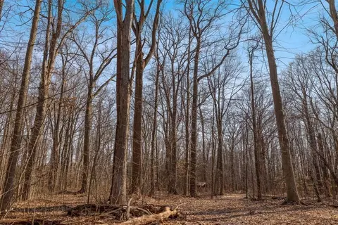 0 Youngren, Harbert, MI 49115 photo 25