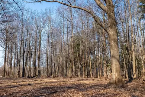 0 Youngren, Harbert, MI 49115 photo 26
