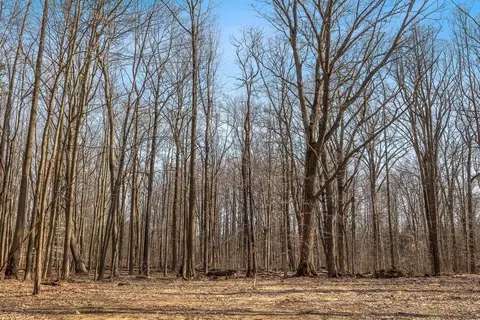 0 Youngren, Harbert, MI 49115 photo 23