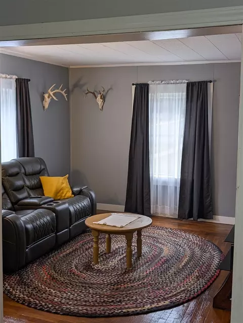 Living - 322 S Third, Edmore, MI 48829 photo 1 of 1