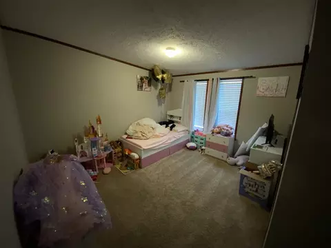 Bedroom - 3806 Catalpa, Jackson, MI 49201 photo 4 of 4