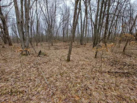 Vl Athey Ave, Harrison, MI 48625 photo 5