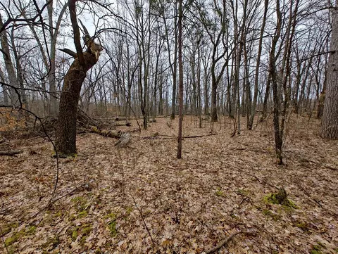 Vl Athey Ave, Harrison, MI 48625 photo 3