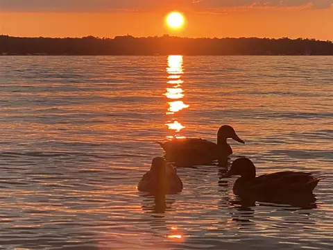 Other - 960 E Gull Lk, Augusta, MI 49012 photo 11 of 15
