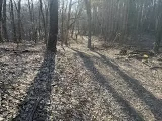 W E, Kalamazoo, MI 49009 photo 3