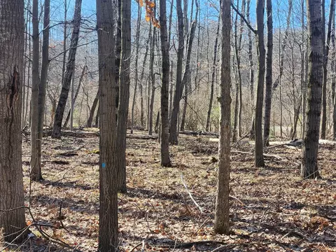11938 Wellington #LOT 142, Canadian Lakes, MI 49346