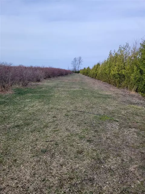 72 Nd, Covert, MI 49043 photo 7