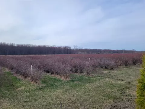 72 Nd, Covert, MI 49043 photo 6