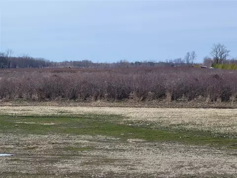 72 Nd, Covert, MI 49043 photo 3