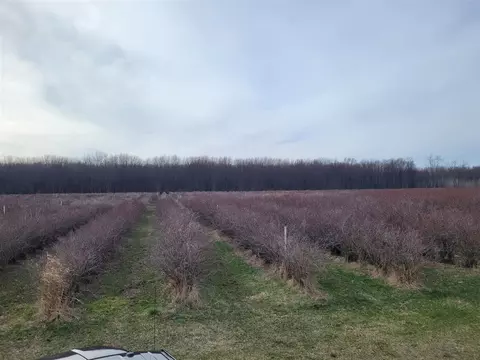72 Nd, Covert, MI 49043 photo 5
