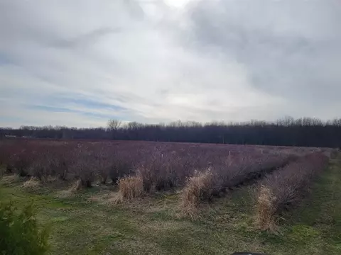72 Nd, Covert, MI 49043 photo 4