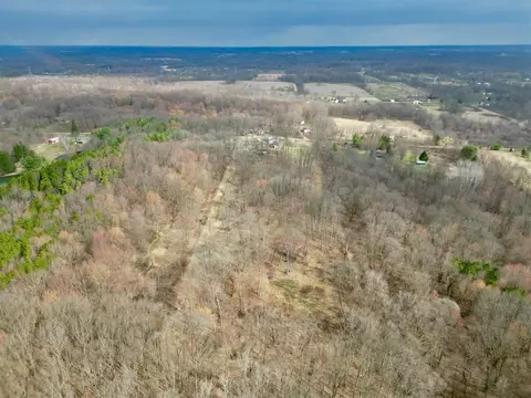 View/Area - 11638 N West Dr, Bellevue, MI 49021 photo 3 of 3