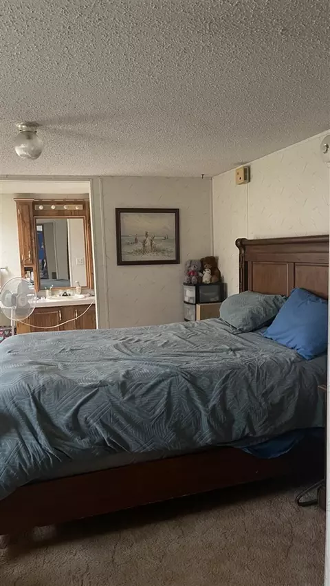 1021 W Hansen, Sidney, MI 48885 photo 2