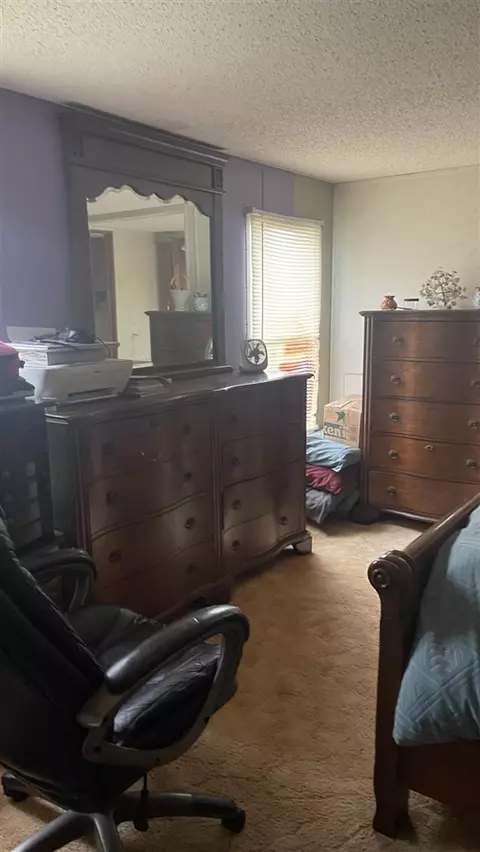 1021 W Hansen, Sidney, MI 48885 photo 3