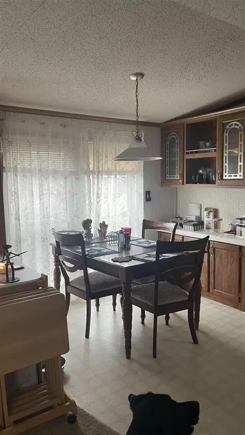 1021 W Hansen, Sidney, MI 48885 photo 11