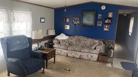 1021 W Hansen, Sidney, MI 48885 photo 5