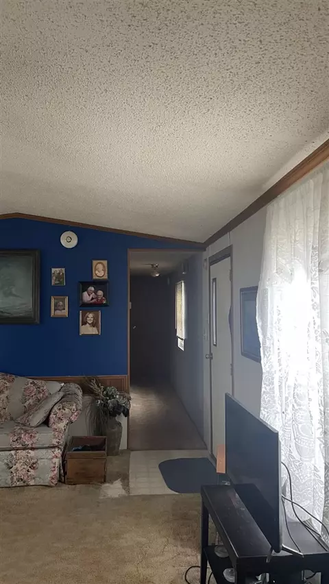1021 W Hansen, Sidney, MI 48885 photo 6