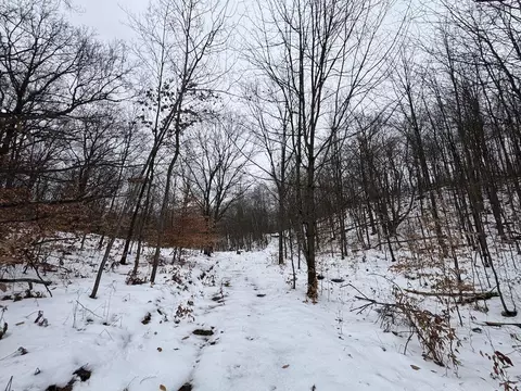 Woodland, Cadillac, MI 49601
