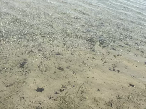 Other - 1127 Wolf Lk, Baldwin, MI 49304 photo 2 of 19