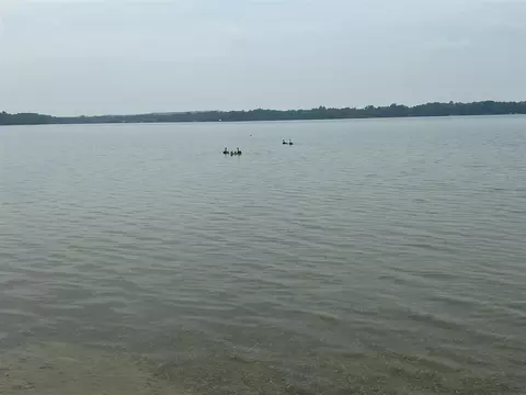 View/Area - 1127 Wolf Lk, Baldwin, MI 49304 photo 10 of 11