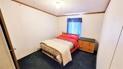 3379 E 12th, White Cloud, MI 49349 photo 21