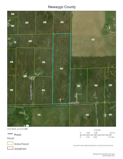 3379 E 12th, White Cloud, MI 49349 photo 4