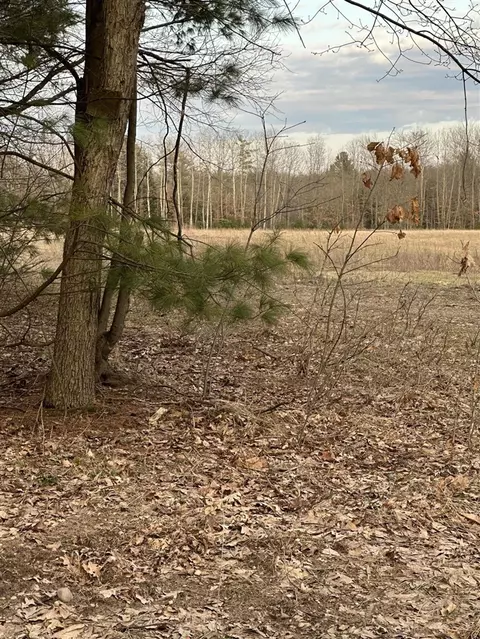 V/l E Baseline, Hesperia, MI 49421