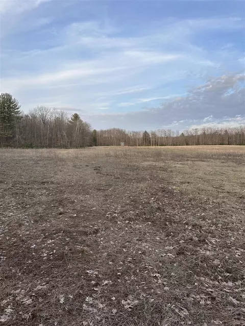 V/l E Baseline, Hesperia, MI 49421 photo 2
