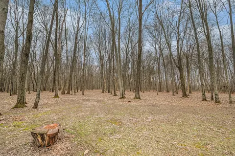 55725 Resort, Three Rivers, MI 49093 photo 36