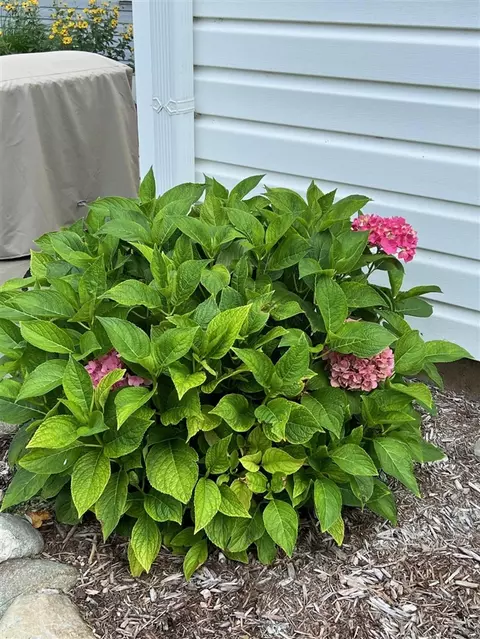 Other - 13957 Aberdeen, Gregory, MI 48137 photo 13 of 16