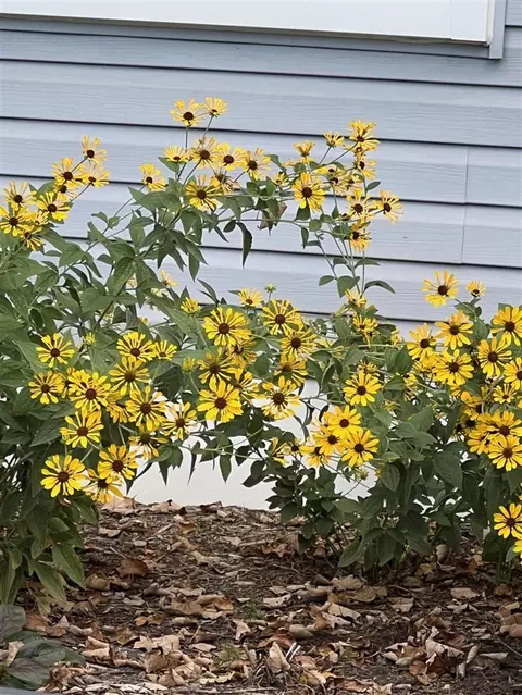 Other - 13957 Aberdeen, Gregory, MI 48137 photo 15 of 16