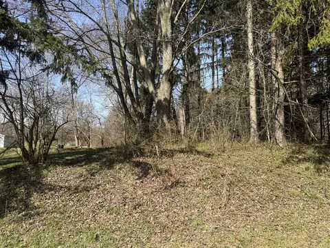 16802 Runyon, Buchanan, MI 49107