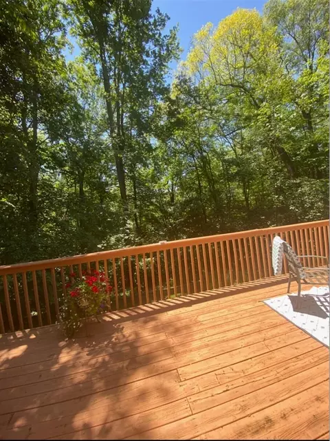 Exterior - 3770 Pine, Saranac, MI 48881 photo 7 of 21