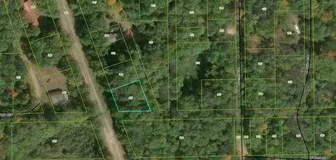 Merrill Township, Bitely, MI 49309 photo 5