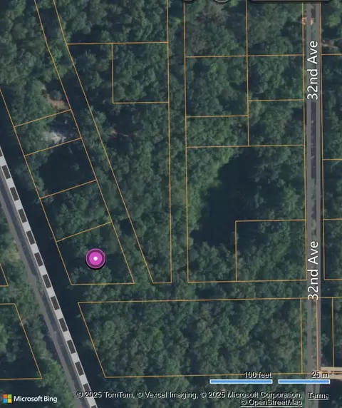 Merrill Township, Bitely, MI 49309