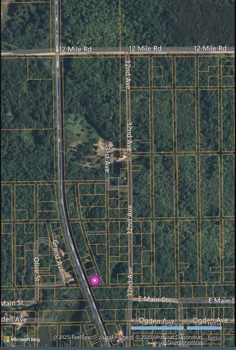 Merrill Township, Bitely, MI 49309 photo 2