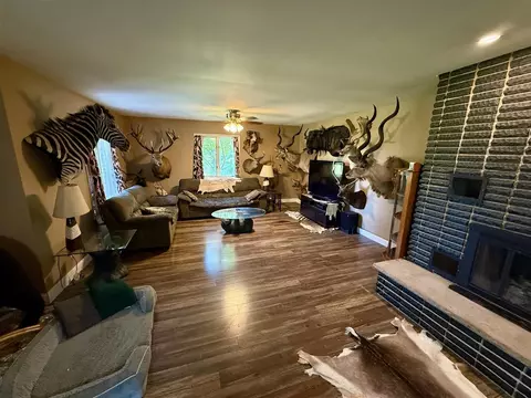 Living - 10976 Dewey, Munith, MI 49259 photo 1 of 4