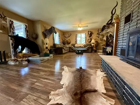 Living - 10976 Dewey, Munith, MI 49259 photo 2 of 4