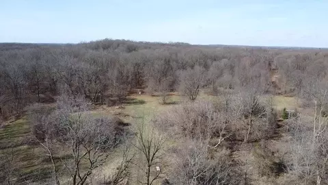 12100 Woodland, Davisburg, MI 48350