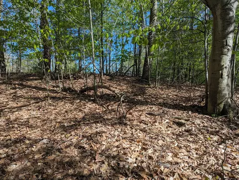 lot39 Novadoc Blvd, Mears, MI 49436