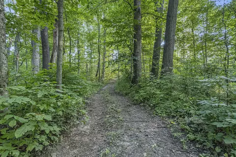 V/l Rumsey, Three Rivers, MI 49093 photo 15