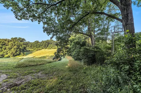V/l Rumsey, Three Rivers, MI 49093 photo 7